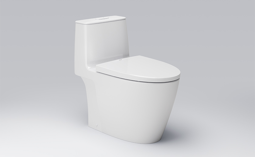 What Are The Elements Of A Modern Toilet Bowl In Singapore